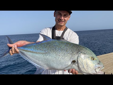 Видео: Рыбалка в Египте! Огромный ГРУППЕР атакует Каранкса 6,4 кг! 1-й день отпуска!