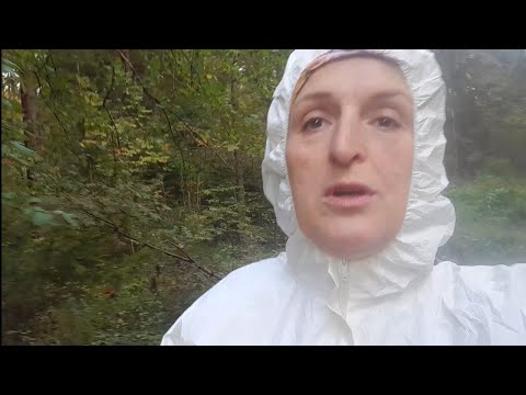 Видео: Конаково. Грибы. 