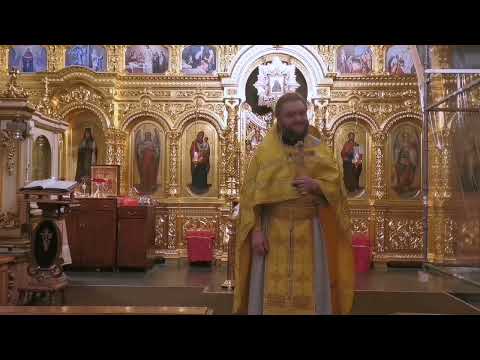 Видео: ЛЮДИ-СОРНЯКИ. Отец Савва (Мажуко).