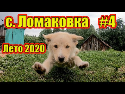 Видео: Лето в Ломаковке. Стародубский район, Брянская область. 2020г.