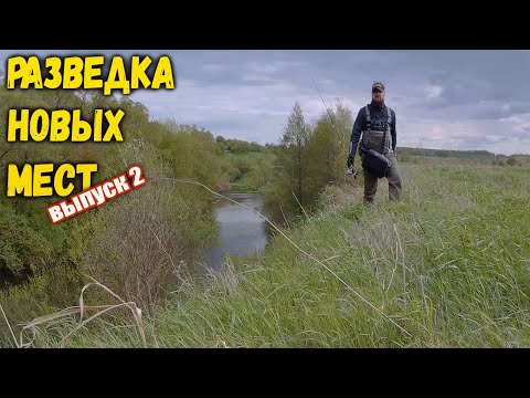 Видео: Познакомился с крутой речкой. СПИННИНГ на малой РЕКЕ.
