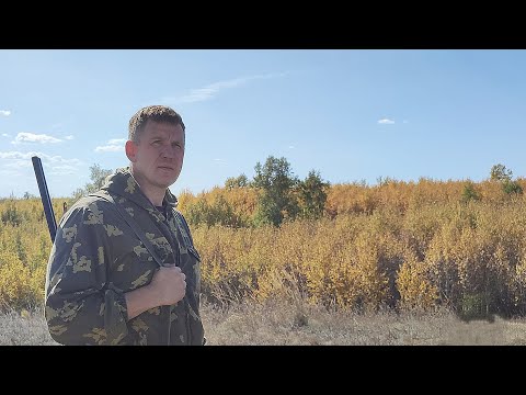 Видео: ОХОТИЛСЯ НА УТКУ,ВСТРЕТИЛ ЛИС,DUCK HUNTING