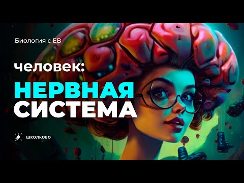 Видео: Человек: нервная система. Серия углубленных лекций для стобалльников на ЕГЭ