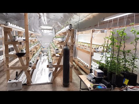 Видео: КЛУБНИКА И МАЛИНА ВЫРАЩИВАНИЕ В САРАЕ // ДОЗАТОР СО2, АВТОПОЛИВ