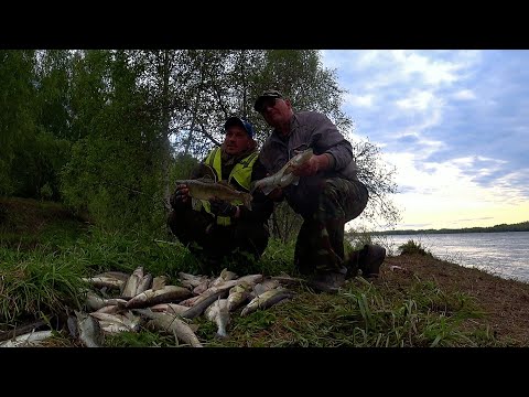 Видео: ТАК МЫ с ДЕДАМИ в СИБИРИ РЫБУ ЛОВИМ! СУПЕР РЫБАЛКА и МОЩНЫЕ ПОКЛЕВКИ! Рыбалка на резинки