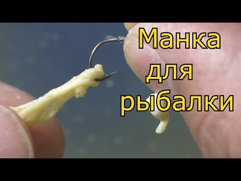 Видео: Мытая манка. Как сделать? Эксперимент-  болтушка против мытой манки.