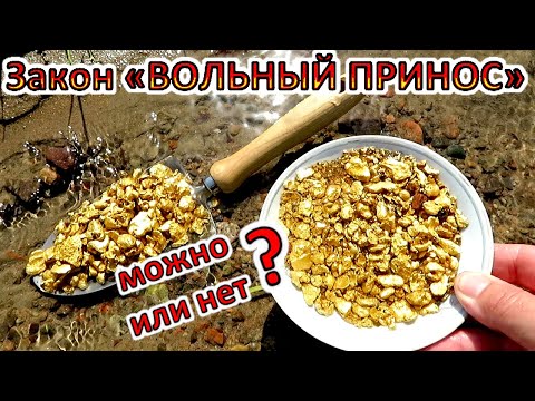 Видео: Золота ПОПРАВКИ В ЗАКОНЕ «Вольный принос»! Мыть нельзя оставить! – расставляем запятые.