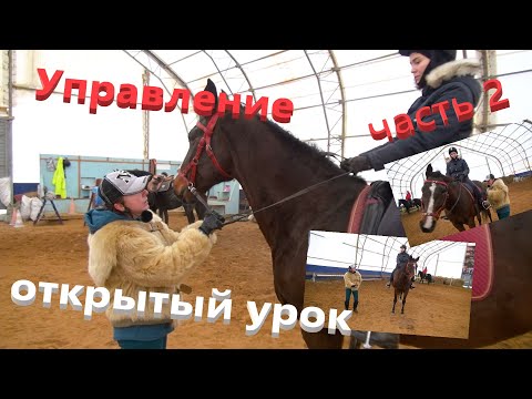 Видео: Управление лошадью. Посадка всадника, учебная рысь. часть 2.