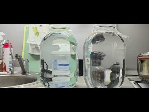 Видео: Самый лучший самогон для брата, за основу взято