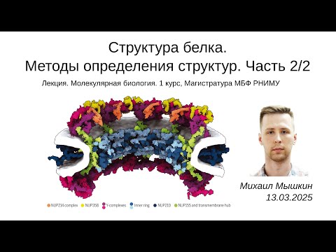Видео: Структура белка. Методы определения структур (2/2) | РНИМУ МБФ МолБиол | Михаил Мышкин