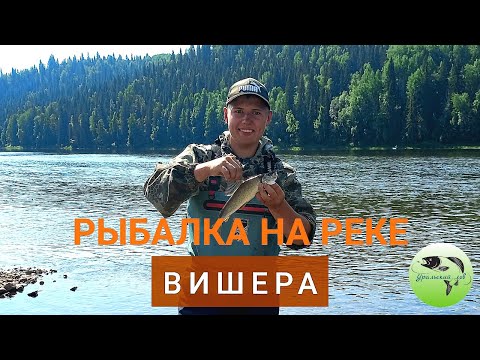 Видео: ВИШЕРА!!! Рыбалка только для ПРОФЕССИОНАЛОВ.