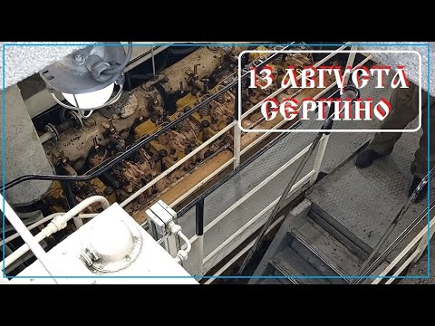 Видео: 13 авг Сергино