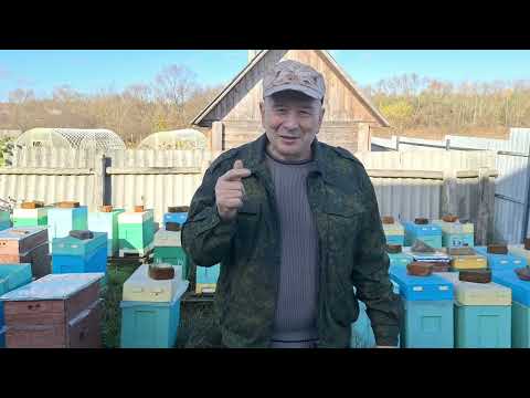 Видео: Пятого ноября. ОТВЕТ НА КОММЕНТАРИИ ПО ЗИМОВКЕ В ШЕСТИРАМОЧНОМ УЛЬЕ. 