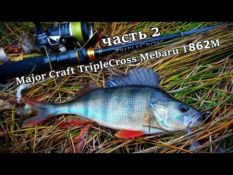 Видео: ЖИРНЫЕ ОКУНЯ НЕ ДАЮТ ПОЛОВИТЬ ЩУКУ! Спиннинг Major Craft TripleCross Mebaru T862M. Тест новинки, ч 2