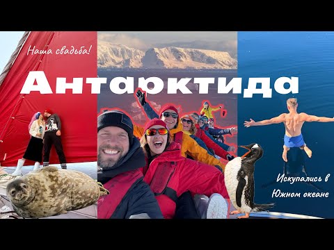 Видео: СВАДЬБА в АНТАРКТИДЕ | ИСКУПАЛИСЬ в ЮЖНОМ ОКЕАНЕ | ОСТАВИЛИ УЧАСТНИЦУ группы на ЛЬДИНЕ