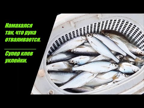 Видео: Супер клев уклейки. Рыбалка на Верхне-Макаровском водохранилище (река Чусовая) в Курганово.