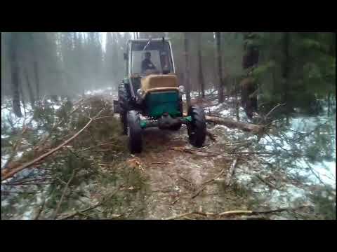 Видео: ЮМЗ 4х4 трелевка леса