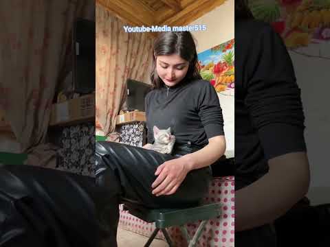 Видео: Uyghur kızı Gül’ün hayatı 27/Жизнь уйгурской девушки Гюль 27/Uyghur girl Gül's life 27