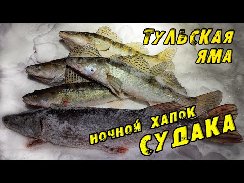 Видео: ПОПАЛ на Ночной ХАПОК Судака! Тульская ЯМА! Зимняя рыбалка на Судака! СУДАК НА ВИБЫ зимой 2023