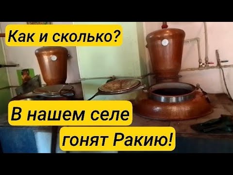 Видео: Болгария. Ракия по 50 л. в сутки! Сельский  предприниматель.