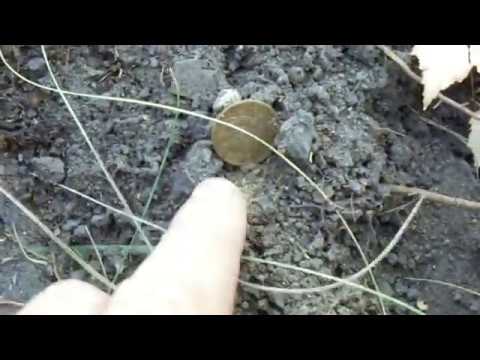 Видео: Коп в лесу, с Фишер ф 44.