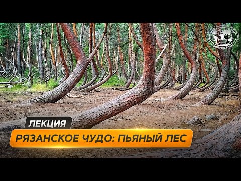 Видео: Пьяный лес, железный гусь и исчезновение города Рязанской области |@Русское географическое общество