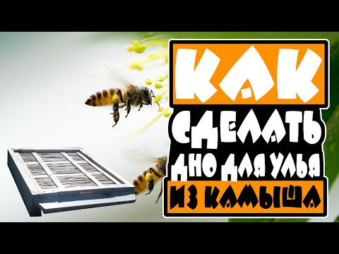 Видео: ✅Как сделать дно для улья из камыша