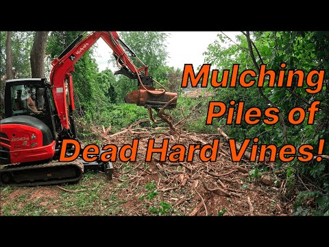 Видео: Мульчирование куч отмерших твердых лоз!