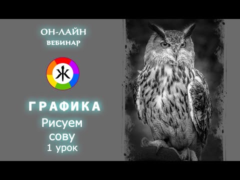 Видео: Рисуем сову.  ГРАФИКА 1 урок