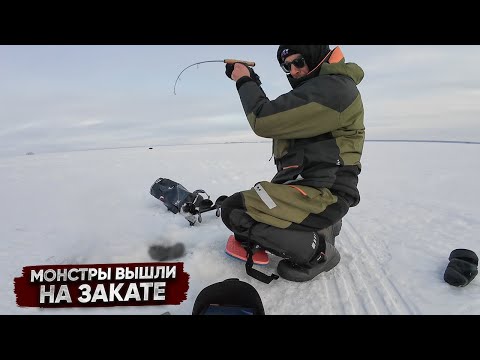 Видео: Как АТАКУЮТ судаки ПОДО ЛЬДОМ / ПОПАЛ на ВЕЧЕРНЮЮ раздачу!