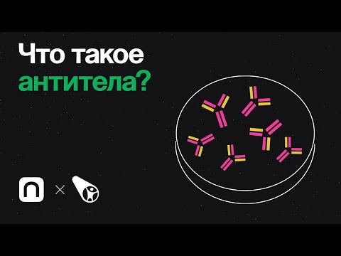 Видео: Что такое антитела?