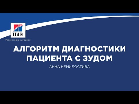 Видео: Вебинар на тему: "Алгоритм диагностики пациента с зудом". Лектор - Анна Немилостива