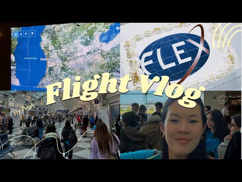 Видео: VLOG Перелёт в Америку | одна в 16 лет