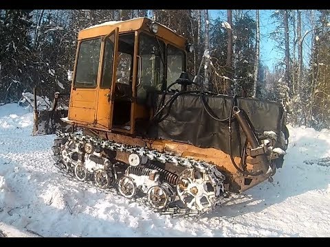 Видео: Лес, трелёвка  на ДТ-75