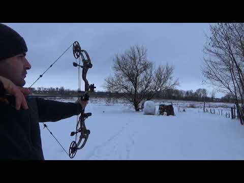Видео: О стрельбе из блочного лука