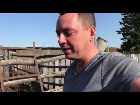Видео: ☀️д.Аникино д.Коля Латыш, жизнь удалась.Семья🤝Счастливы🥰 Кыштовский р-он🇷🇺Сибирь🍀❄️