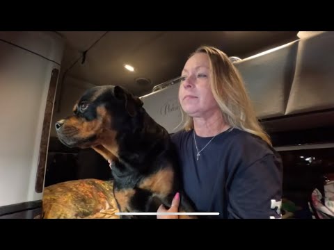 Видео: Американские дороги заполонили нелегалы ​​😠