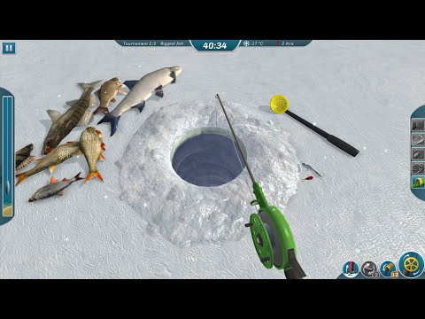 Видео: Зимняя рыбалка дикий клёв на реке Волга ловим Пелядь. Ставим Жерлицы