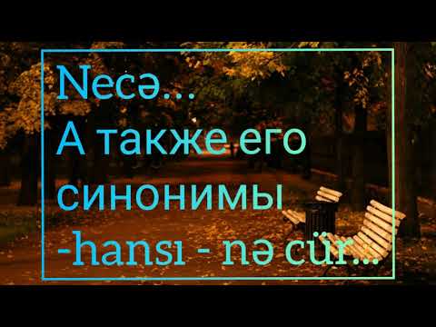 Видео: Азербайджанский язык. 7 урок. Или, либо. Какой? Как?