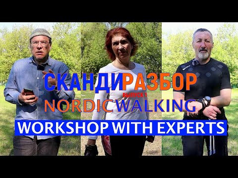 Видео: СкандиРазбор.  Выпуск №1.