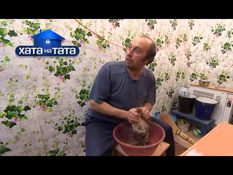 Видео: Два трактора и деньги в банке! – семья Смерек – Хата на тата