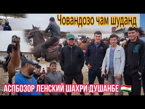 Видео: Бахтовар, Шаҳбоз, Алимардон, Хуршед ҳама чам шуданд дар Аспбозор Ленский 🇹🇯