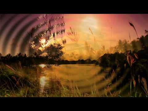 Видео: Николай Парфенюк и ВИА,,Синяя Птица'' - Летний Вечер (муз.М.Болотный ст.В.Дюнин)