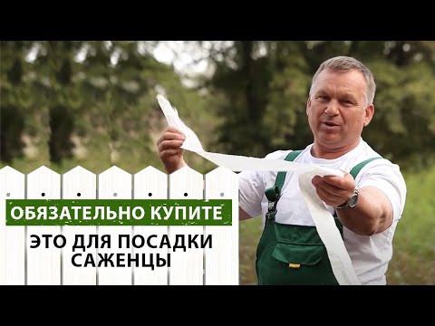 Видео: Подготовка к посадке плодовых деревьев и кустарников.