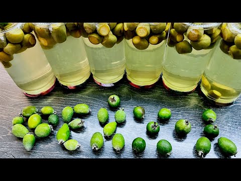 Видео: 👍🥤Самый вкусный компот на праздничный стол