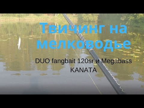 Видео: Твичинг на мелководье DUO Fangbait 120sr и Megabass KANATA