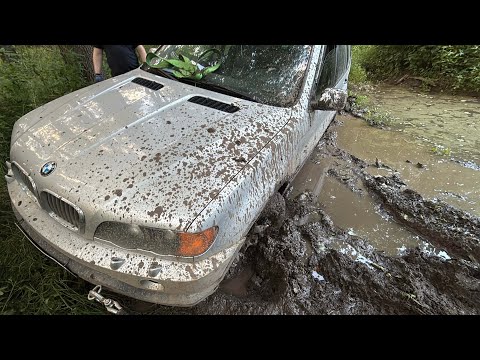 Видео: Что может BMW X5 В БОЛОТЕ? TANK 300, УАЗ Патриот и др