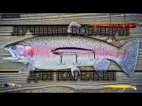 Видео: ЛУЧШИЕ ВОБЛЕРЫ ДЛЯ КАРЕЛИИ (СЕГОЗЕРО, ОНЕГА, ПЯОЗЕРО) ДЛЯ ЛОВЛИ ЛОСОСЯ, КУМЖИ, ФОРЕЛИ.