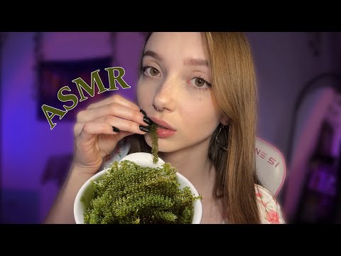 Видео: АСМР ПРОБУЕМ МОРСКОЙ ВИНОГРАД 😋 итинг 💗 звуки рта