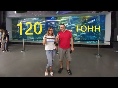 Видео: Аквариум 120 тонн - такой бы себе домой)))